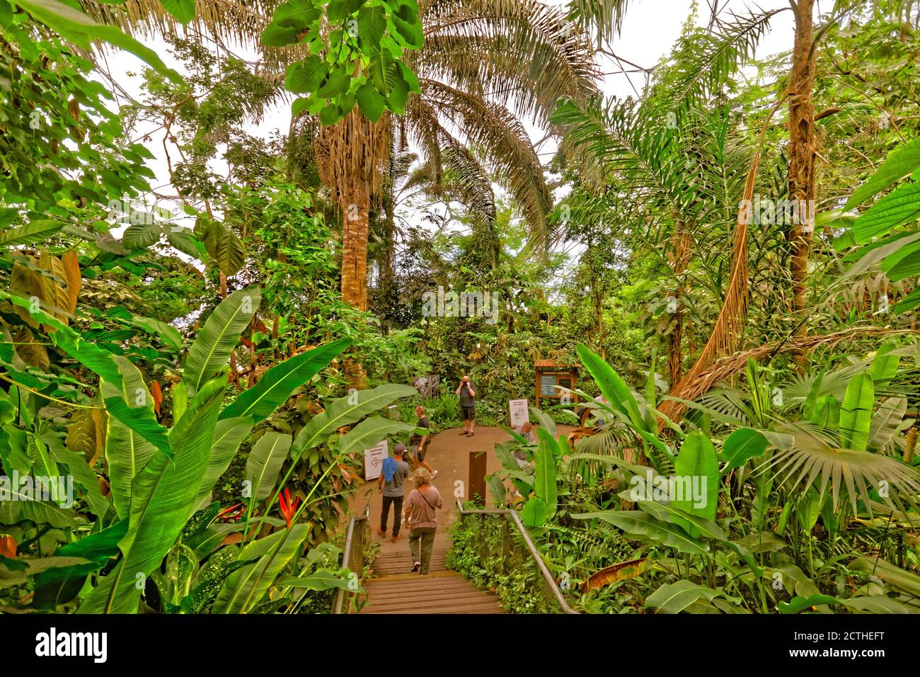 Eden Project Interior in Bodelva bei St. Austell, Cornwall, England. Stockfoto