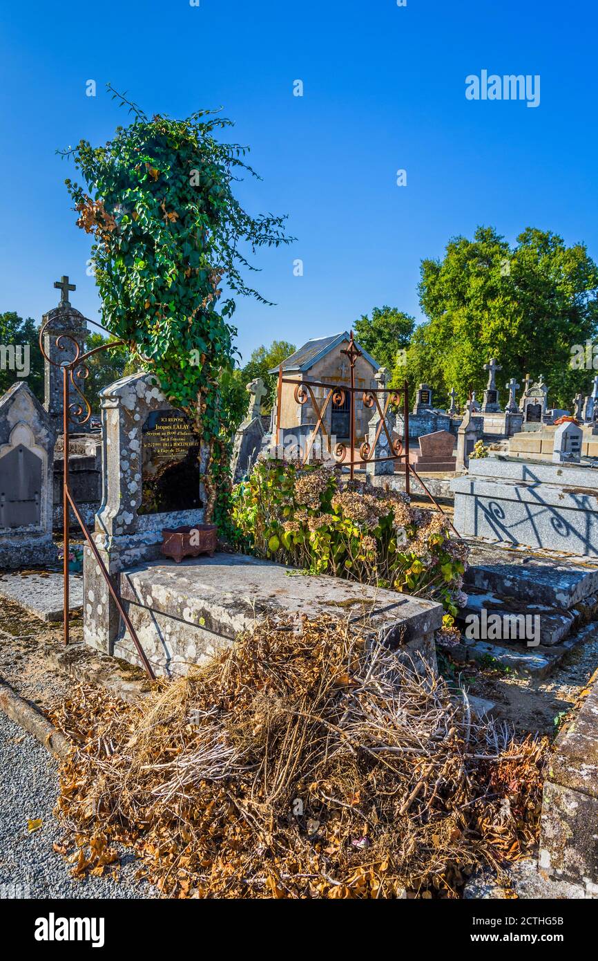 Von alten Gräbern gereinigtes Unkraut auf dem Friedhof - Oradour-Saint-Genest, Haute-Vienne (87), Frankreich. Stockfoto