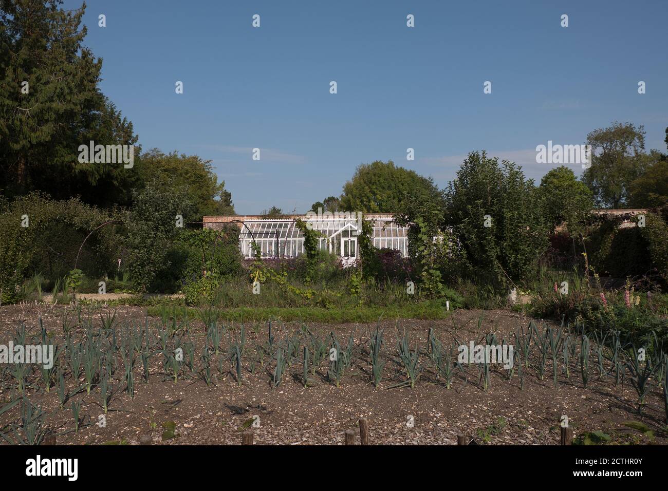 Letzter Sommertag im Schottsgebiet am Beaulieu Anwesen in Hampshire Stockfoto