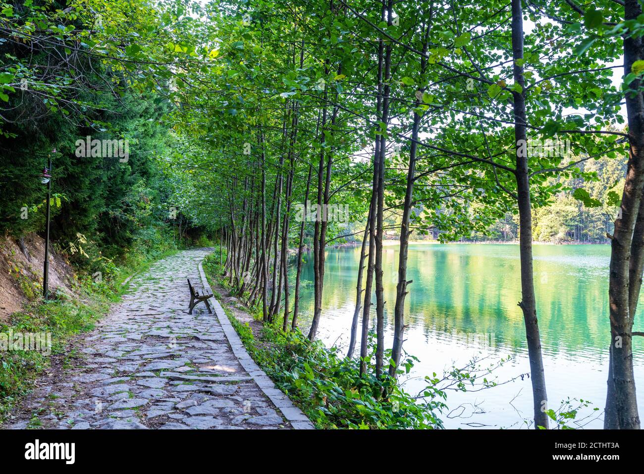 Eine schöne Promenade mit Steinweg neben dem ruhigen Seeufer und Wald. Hochwertige Fotos Stockfoto