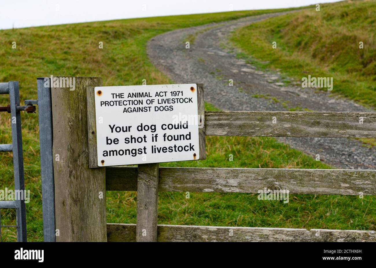 Schild Warnung, dass Hunde müssen unter Kontrolle gehalten werden auf Feldtor in North Roe, Shetland, Schottland, Großbritannien Stockfoto