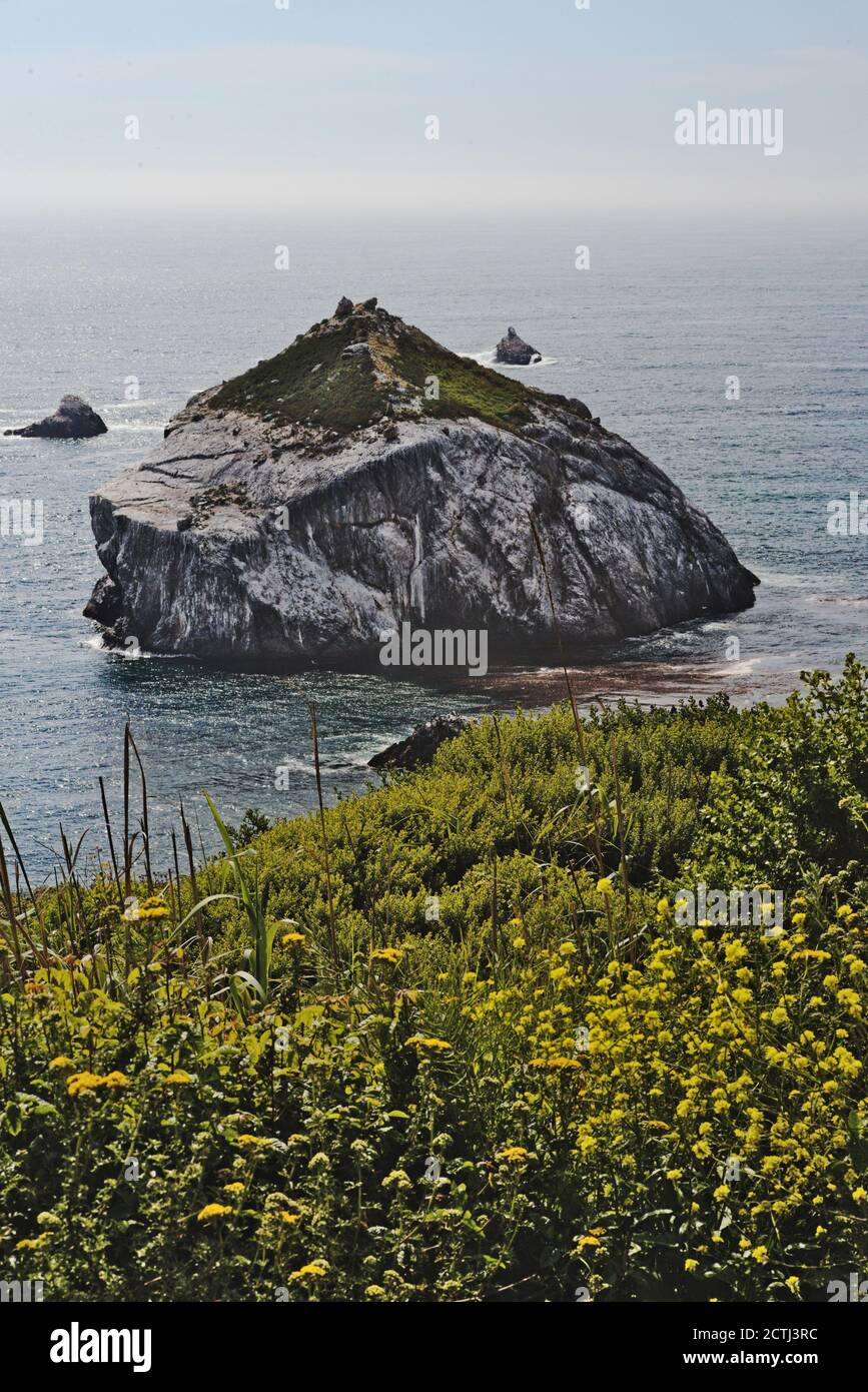 Ruhige Inspiration der malerischen Küste der majestätischen Big Sur Fahrt von Kalifornien, Frühling und neblige Stonung tragen zum Ambiente der Schönheit des Pazifischen Ozeans bei. Stockfoto