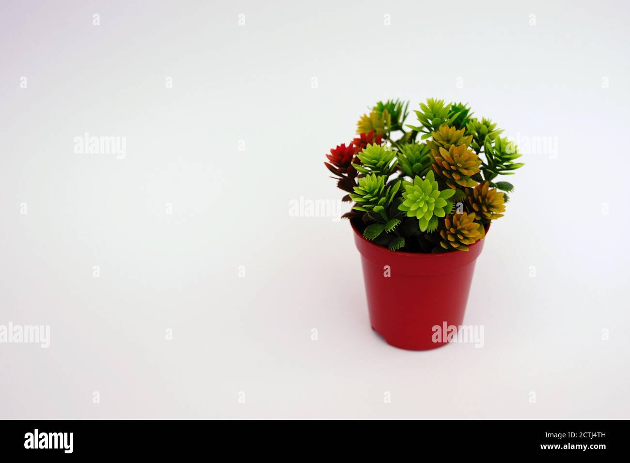 Kunststoffpflanze in Vase isoliert auf weißem Hintergrund mit Kopie Platz Stockfoto