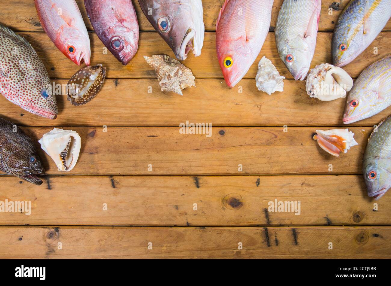 Karibischer frischer Fisch Meeresfrüchte auf altem Holztisch. Draufsicht. Nahaufnahme. Stockfoto