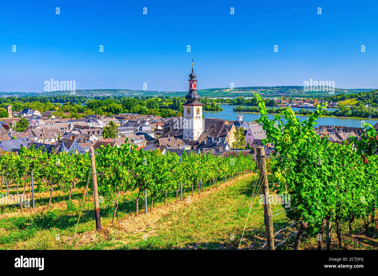 Luftaufnahme der Weinbauregion Rheingau, Rüdesheim am Rhein historische Altstadt mit St. Jakobus Kirche und Rhein, blauer Himmel Hintergrund, Rheinland-Pfalz und Hessen, Deutschland Stockfoto