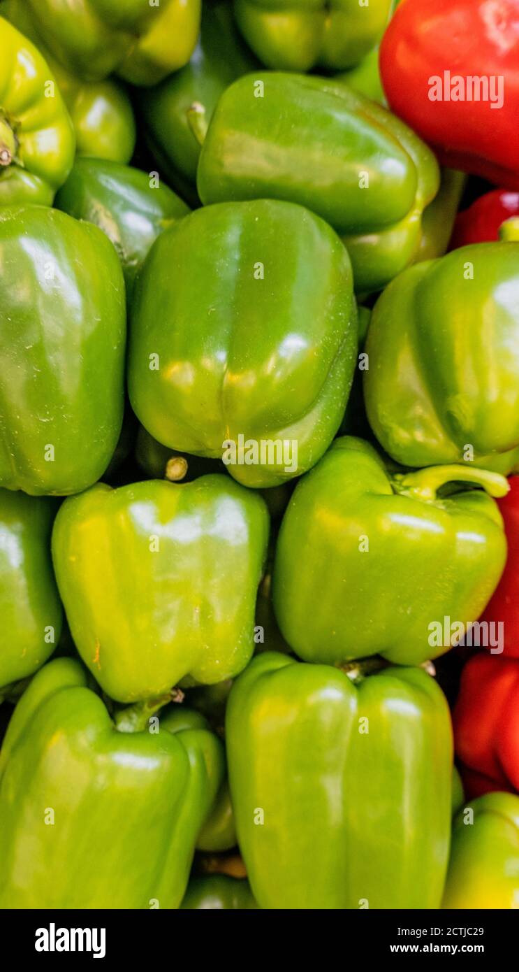 Grüne Paprika in einem Stapel bereit zum Verkauf. Stockfoto