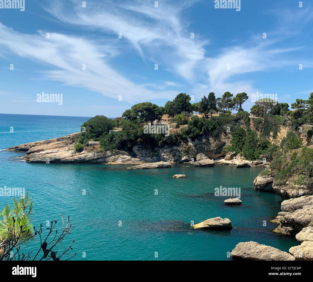 Fantastische Mittelmeerküste. Blaue ruhige Adria. Malerische Bucht. Kiefernbaum. Idyllische Sommerlandschaft. Wunderschöne Meereslandschaft. Atemberaubende Natur. Küstenfelsen Stockfoto