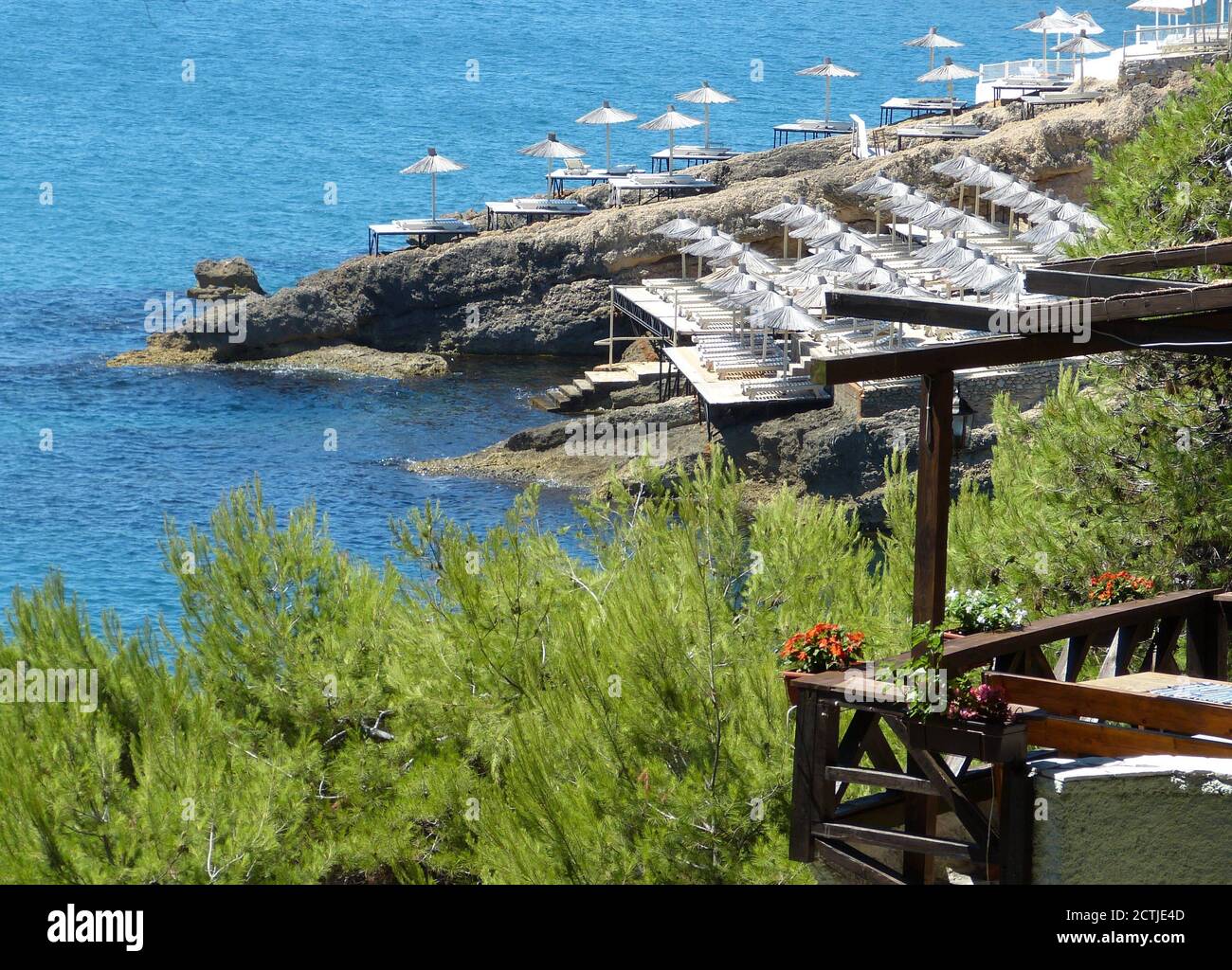 Erstaunliche blaue Meereslandschaft. Adria. Felsiger schöner Strand mit weißen Sonnenschirmen. Nadelbäume. Holzcafé. Sommerzeit am Mittelmeer. Stockfoto