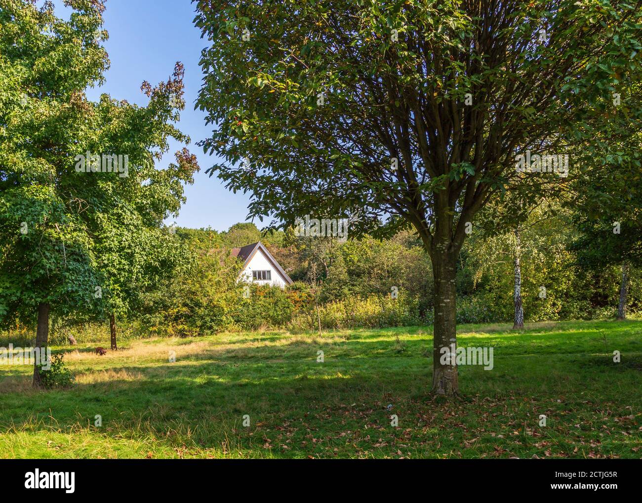 Schöner Brueton Park in Solihull, West Midlands, England. Stockfoto