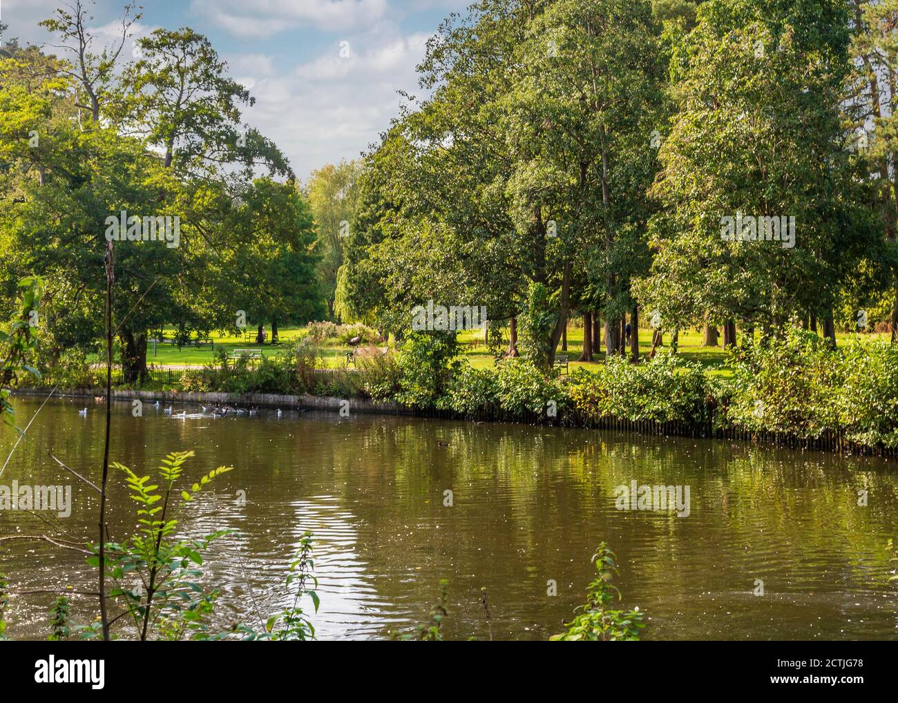 Schöner Brueton Park in Solihull, West Midlands, England. Stockfoto