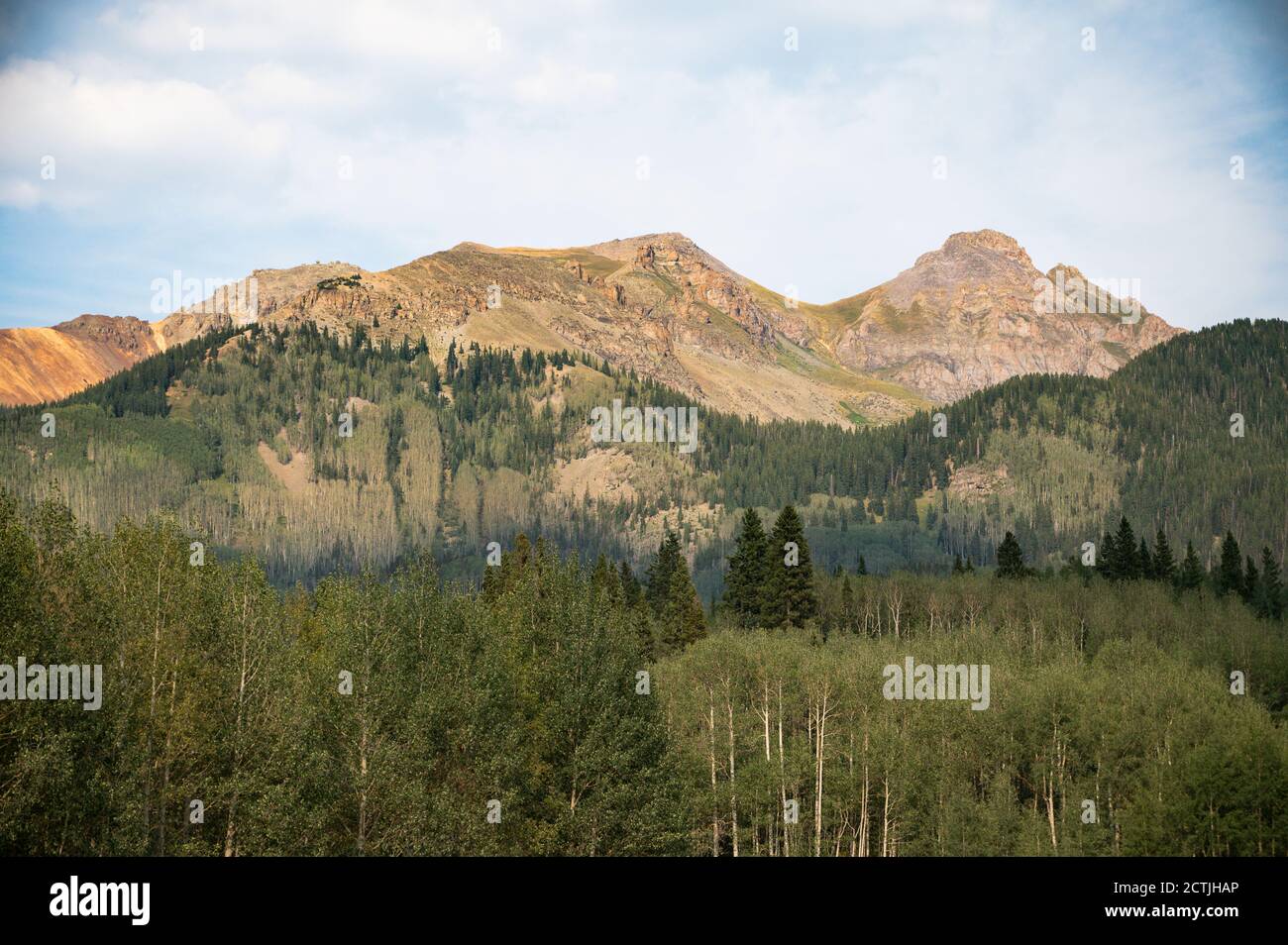 Colorado Berglandschaft Mit Aspen Bäumen Stockfoto