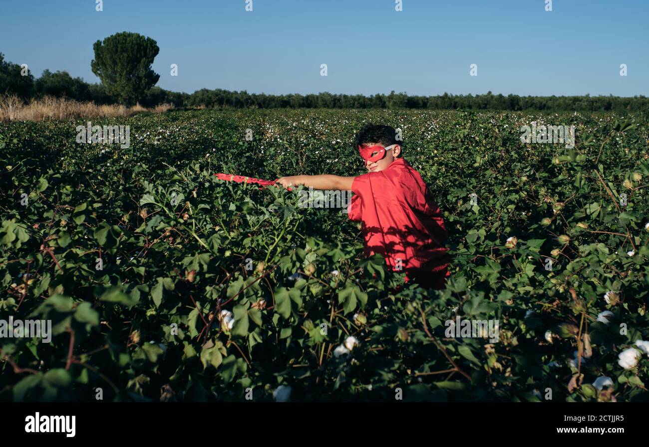 Kind verkleidet als roter Superheld betritt Baumwollfelder bereit Zu kämpfen Stockfoto