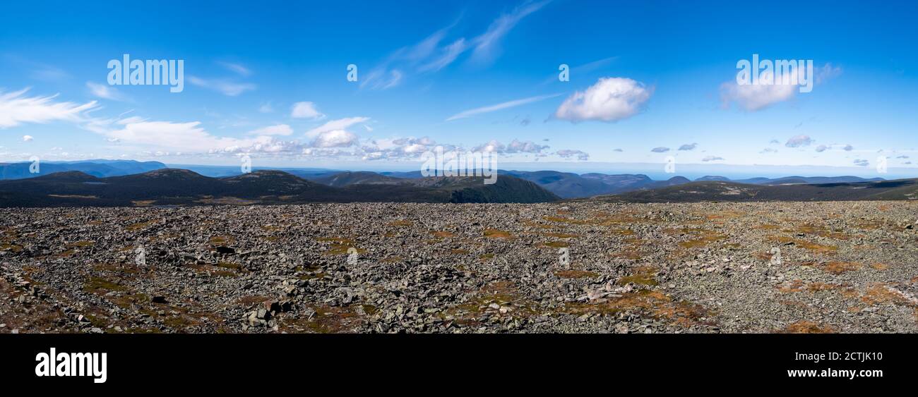 Panoramablick von der Spitze des mont Jacques-Cartier, im Gaspésie Nationalpark, Kanada Stockfoto