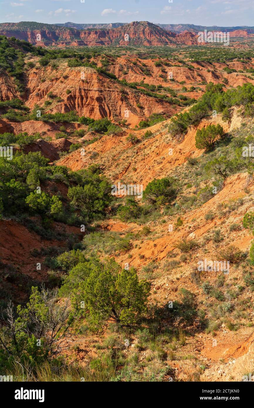 Texas Plains Trail, Briscoe County, Quitaque, Caprock Canyons State Park und Trailway Stockfoto