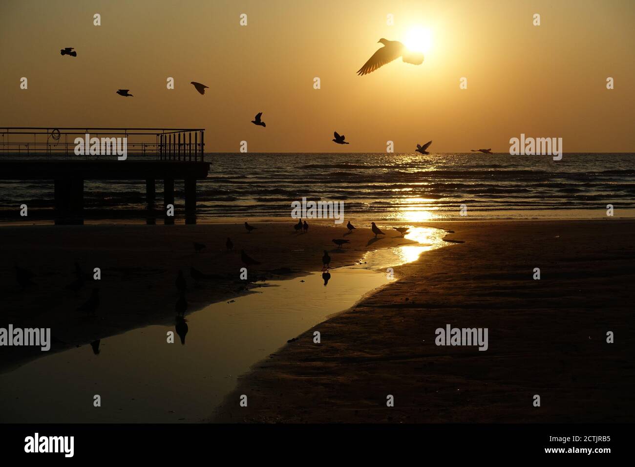 Goldener Sonnenuntergang mit Schattentauben, Larnaka, Zypern Stockfoto