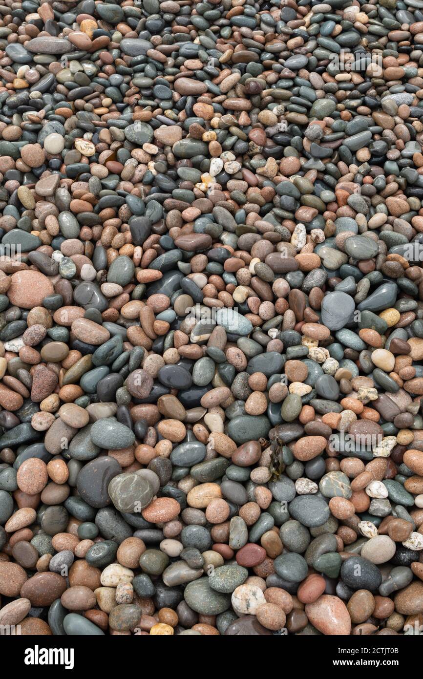Pebbles on St Bees Beach, Cumbria, England, Großbritannien Stockfoto