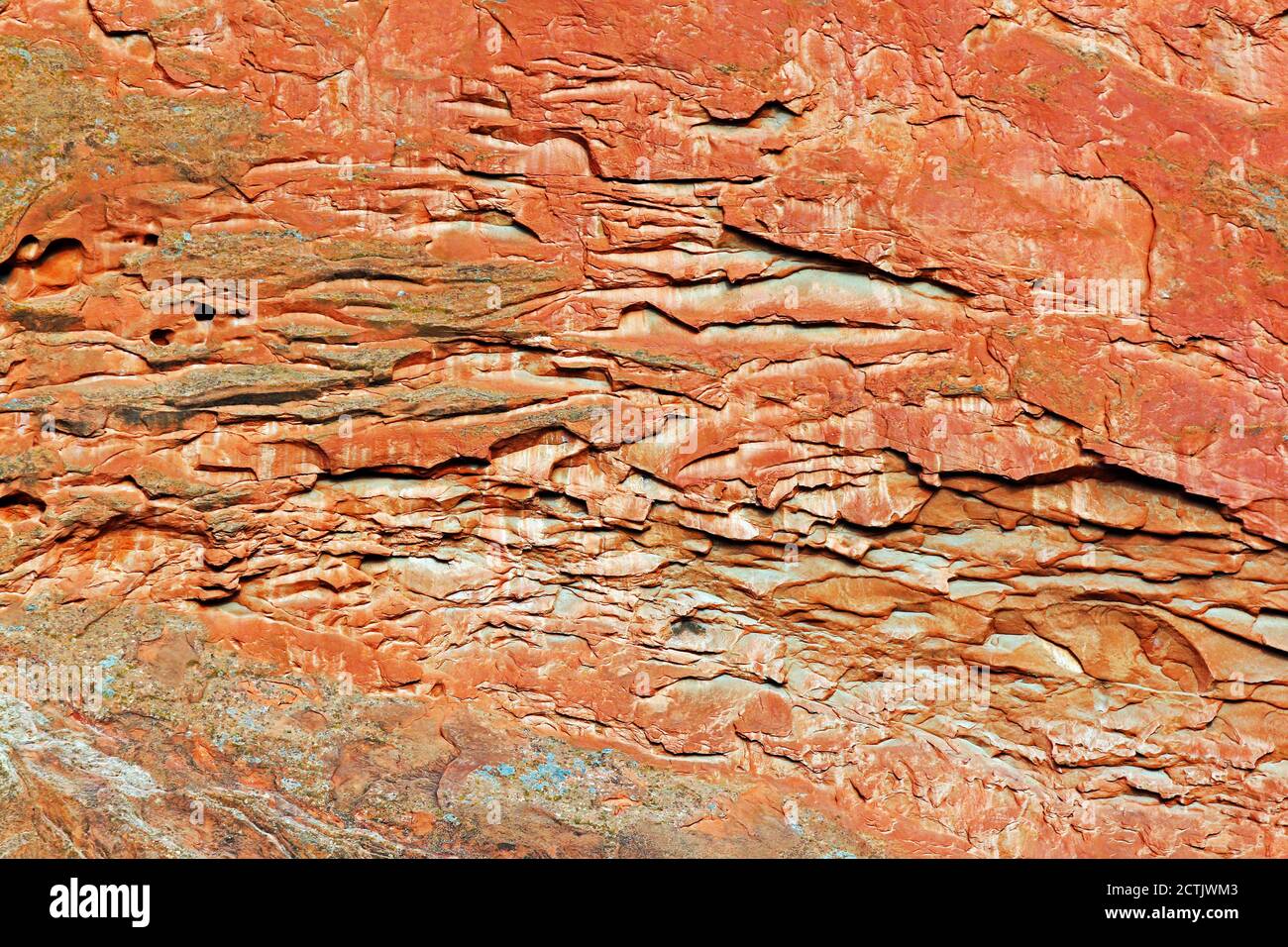 Detail der roten Felsen des Südwestens der Vereinigten Staaten. Stockfoto