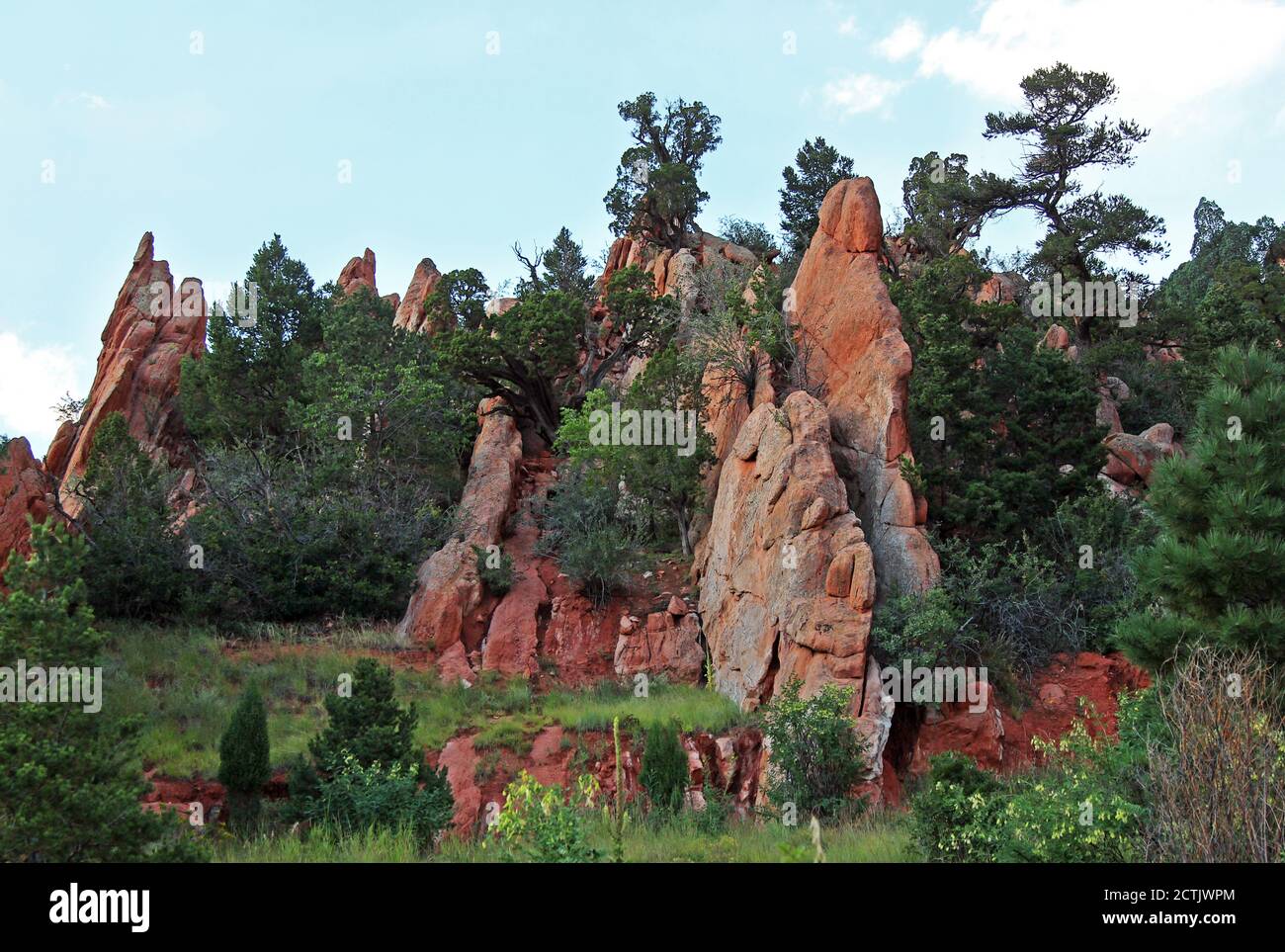 Rote Felsen und Vegetation leben im Garten der Götter in Colorado. Stockfoto