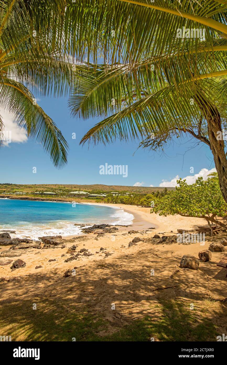 Blick auf den goldenen Strand und die Palmen im Hulopo'e Beach Park und das Four Seasons Resort in Manele Bay, Lanai Island, Hawaii, USA. Stockfoto