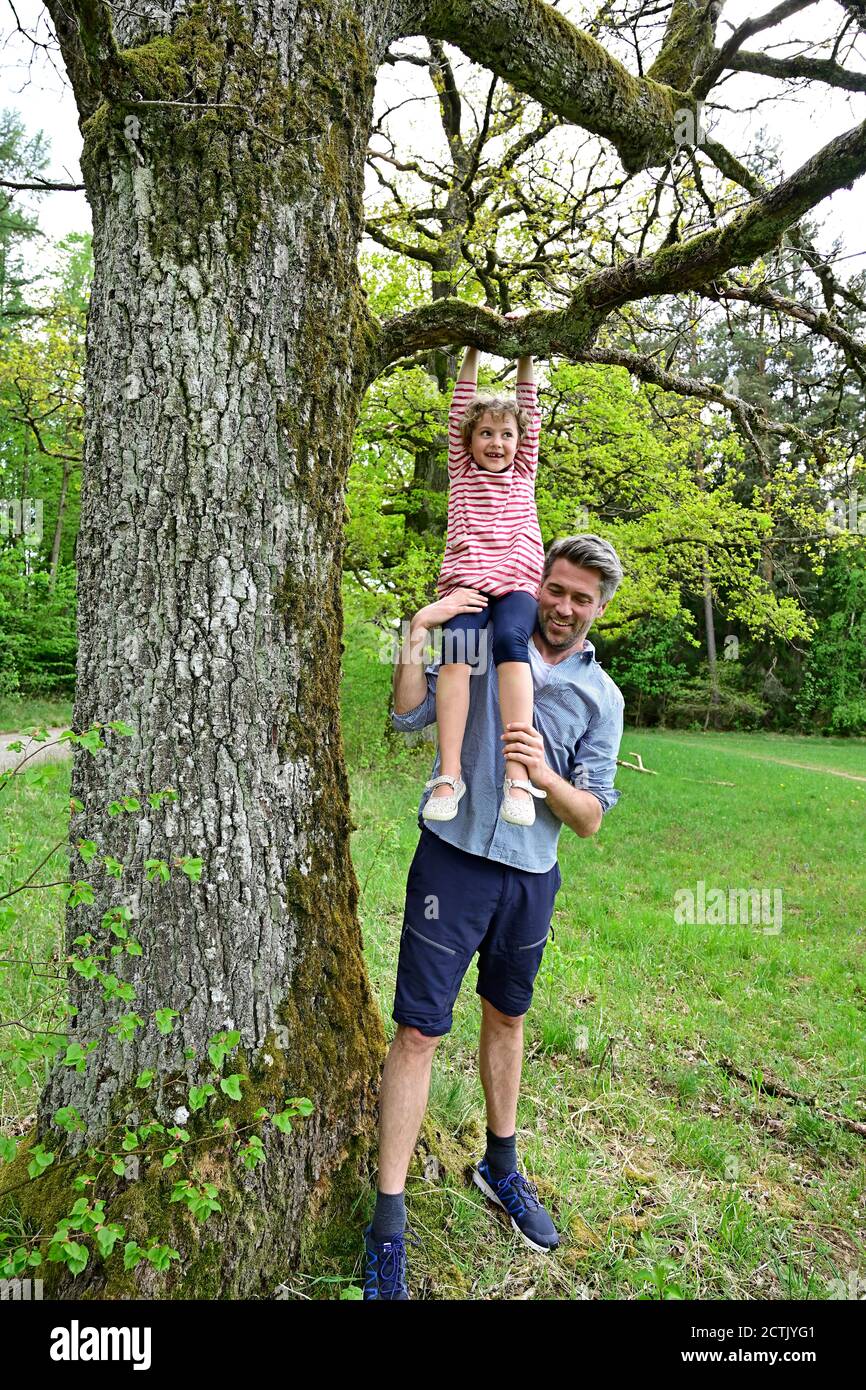 Vater hilft verspielte Tochter auf Ast des Baumes hängen Im Wald Stockfoto