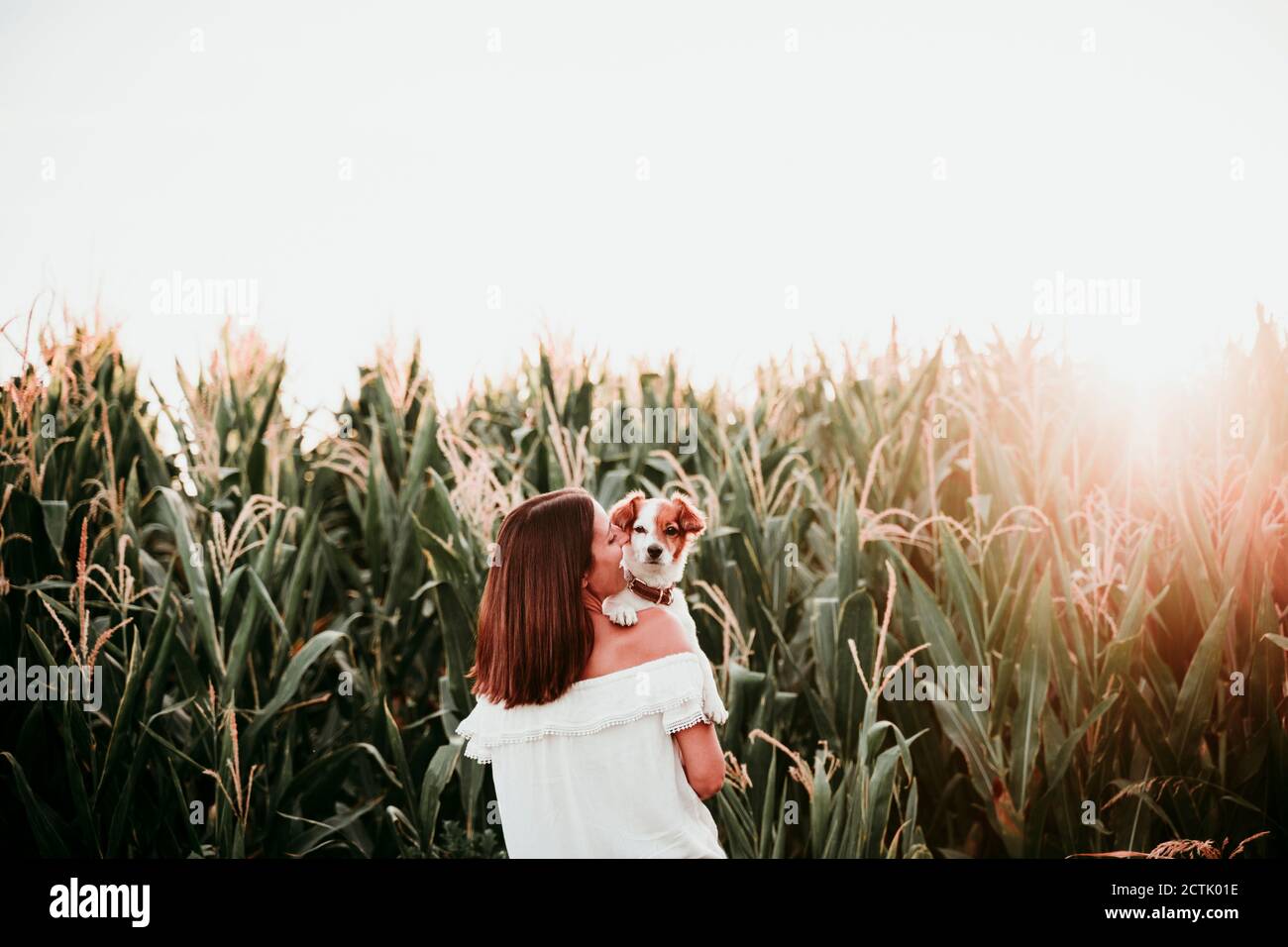 Rückansicht der jungen Frau mit Hund auf Maisfeld während Sonnenuntergang Stockfoto