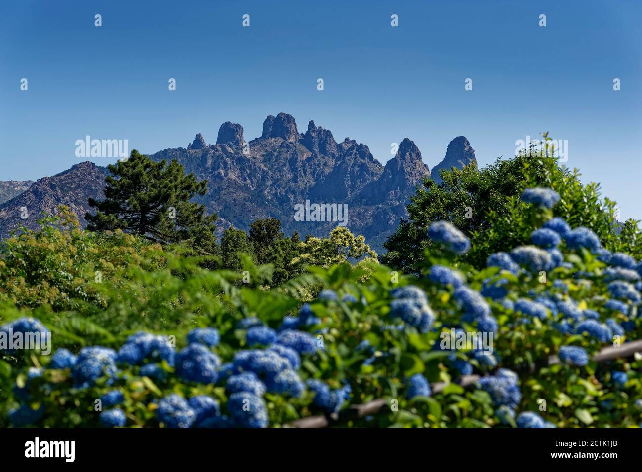 Aiguilles de Bavella Massiv im Frühling Stockfoto