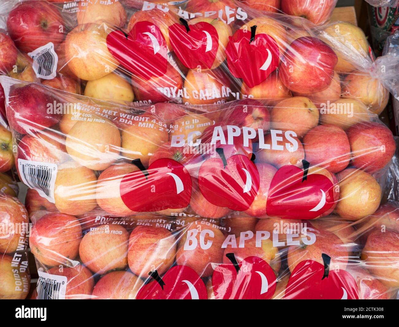 Die Verwendung von Kunststoff in Verpackungen in der Landwirtschaft und der Lebensmittelindustrie. Royal Gala-Äpfel zum Verkauf in Plastiktüten. Stockfoto