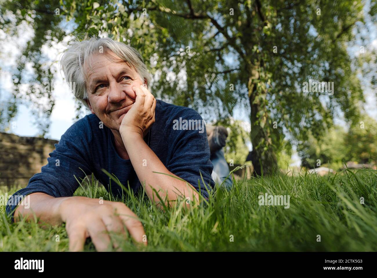 Selbstbewusster lächelnder Mann, der vorne im Feld liegt Stockfoto