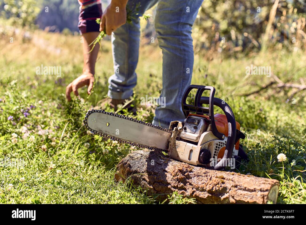 Holzfäller pflückt Gras, während er an der Kettensäge im Wald steht Stockfoto