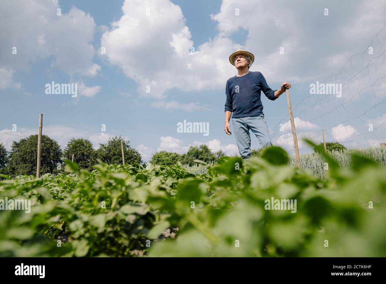 Mann im Hut steht am Pol gegen bewölkten Himmel während Sonniger Tag Stockfoto