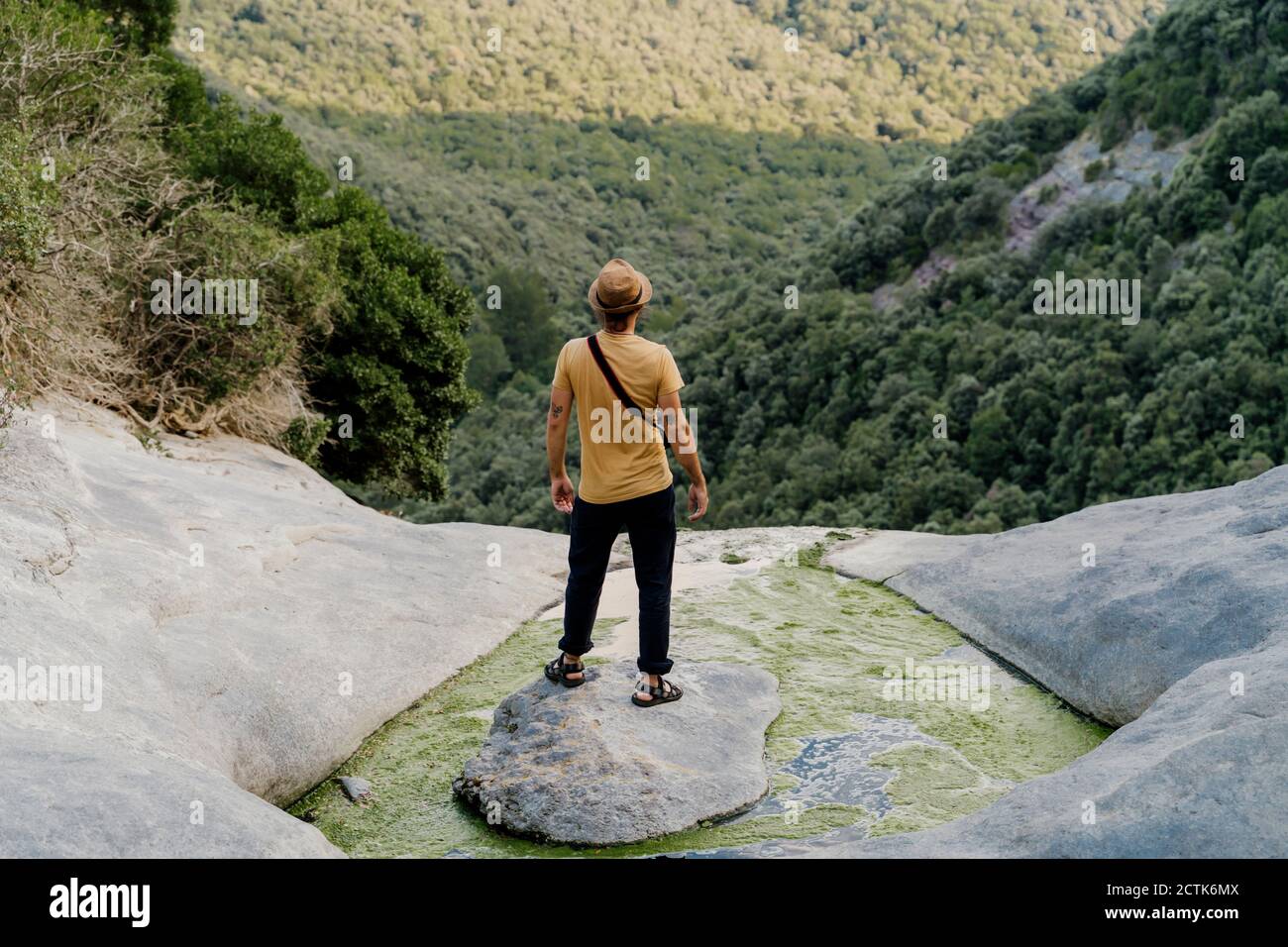 Männlicher Wanderer, der auf einem Felsen inmitten des alpinen Baches steht Mit bewaldeten Tal im Hintergrund Stockfoto