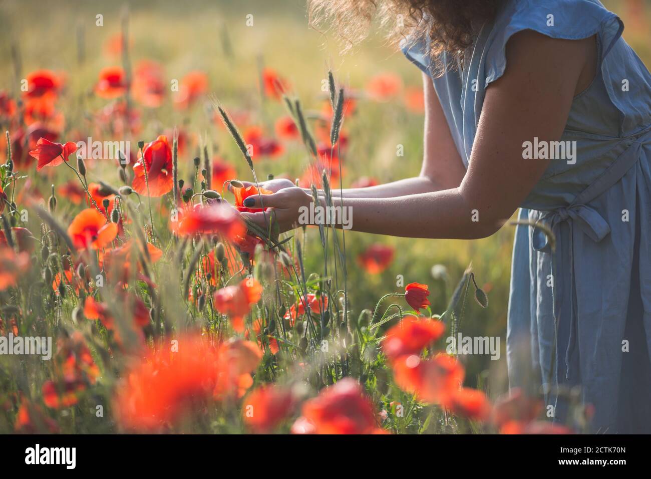 Junge Frau hält Blume, während sie im Mohnfeld steht Stockfoto