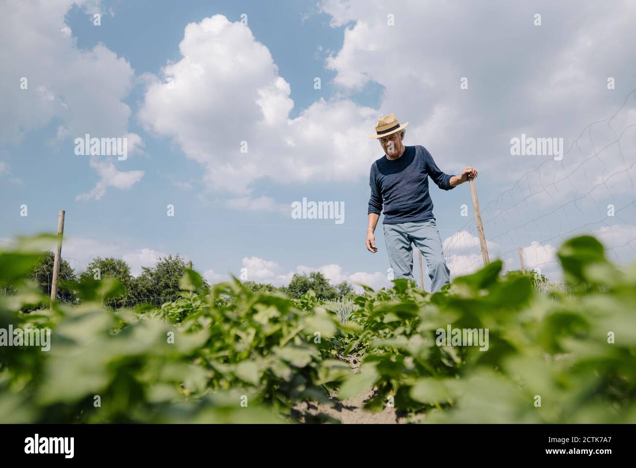Mann im Hut steht am Pol gegen bewölkten Himmel Stockfoto