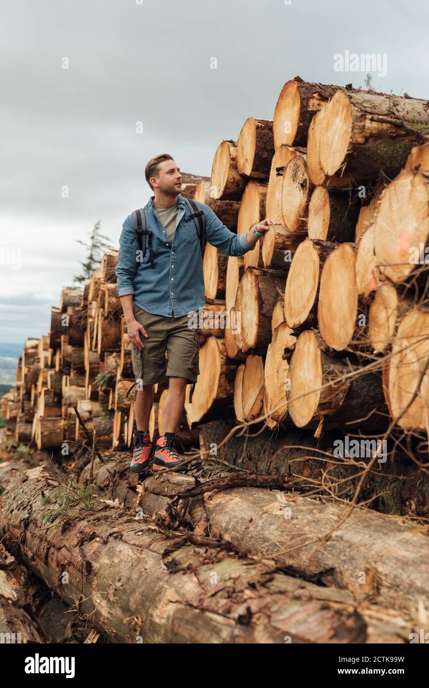 Mittelerwachsener männlicher Wanderer, der auf Holzstapel gegen Holzstapel steht Himmel im Wald Stockfoto