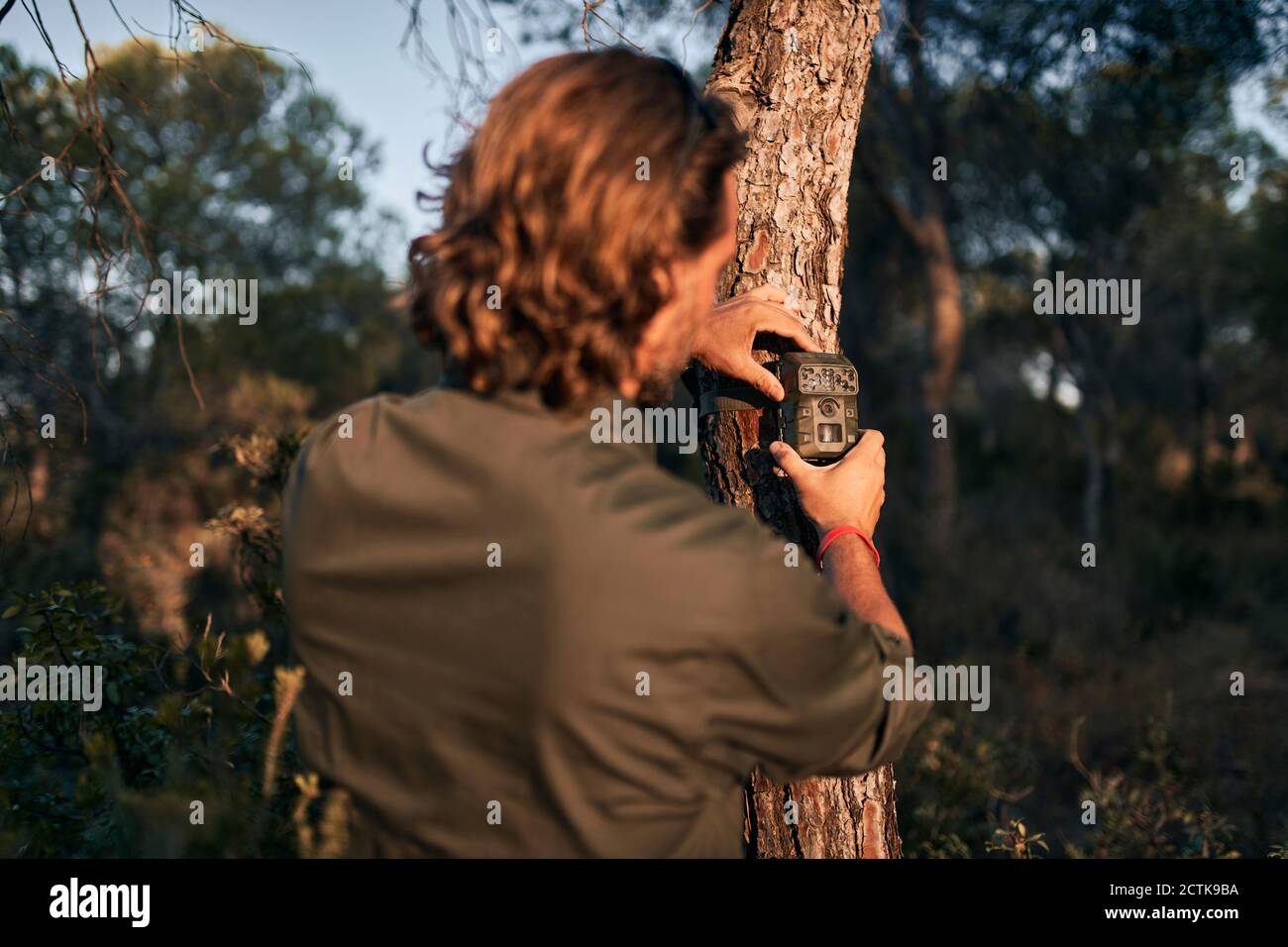 Mann Positionierkamera auf Baumstamm im Wald Stockfoto