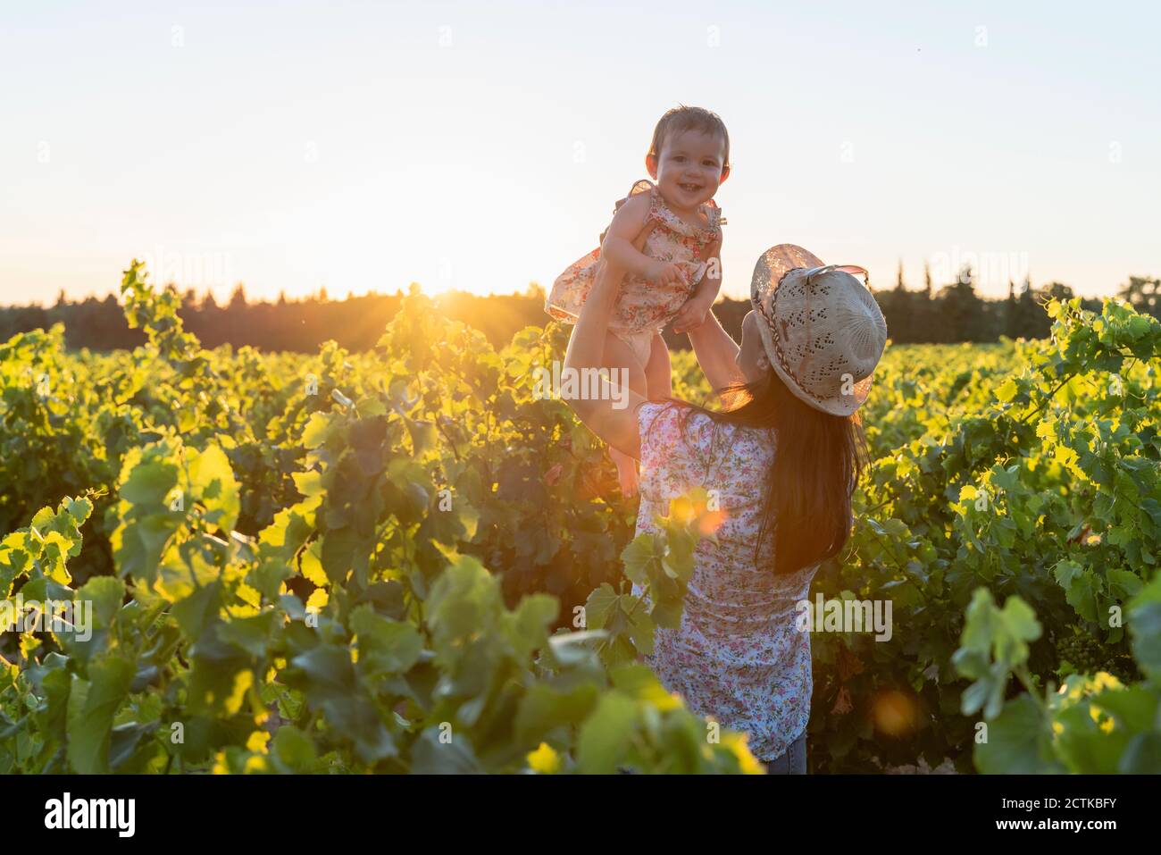 Mutter hält ihre Tochter in einem Weinberg bei Sonnenuntergang in der Provence, Frankreich Stockfoto