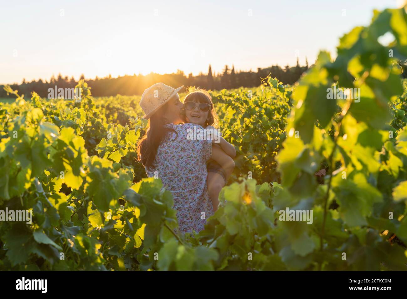 Mutter hält ihre Tochter in einem Weinberg bei Sonnenuntergang in der Provence, Frankreich Stockfoto