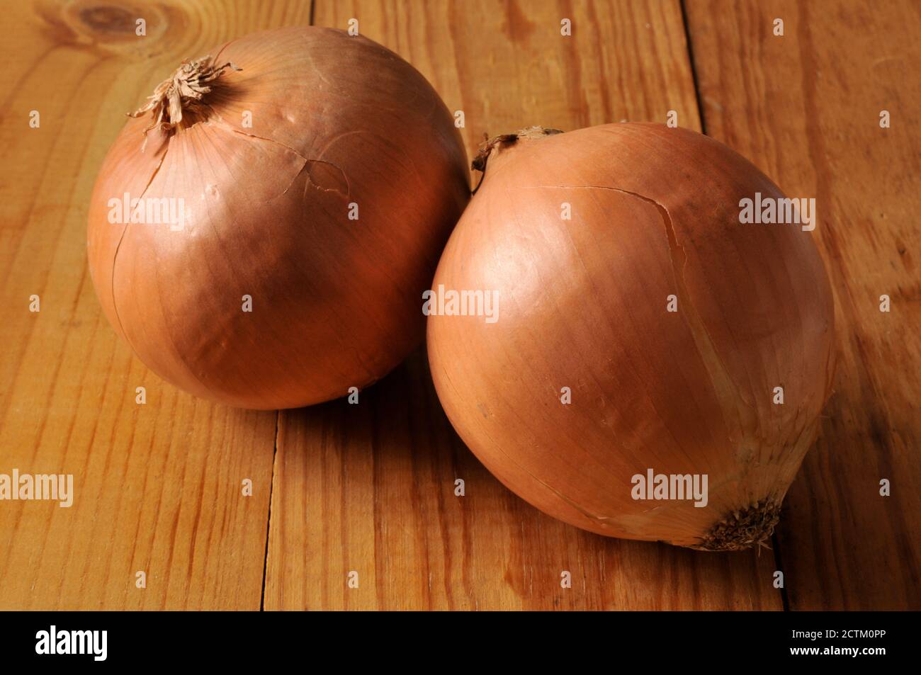 Mittlere gelbe Zwiebeln auf ein rustikales Holz- Oberfläche Stockfoto