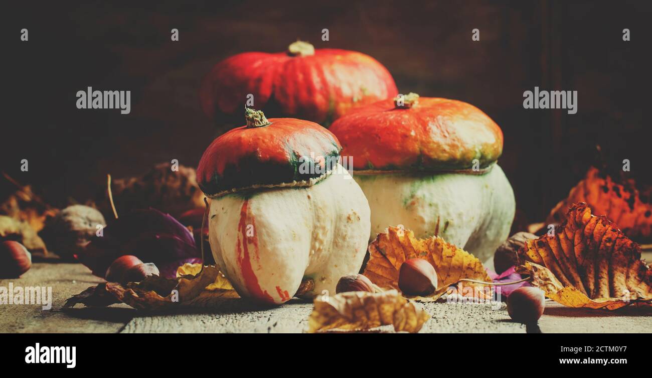 Herbstkonzept. Dekorative Kürbispilze auf einem Vintage-Holzhintergrund mit gefallenen Blättern und Nüssen, selektiver Fokus und getöntem Bild Stockfoto