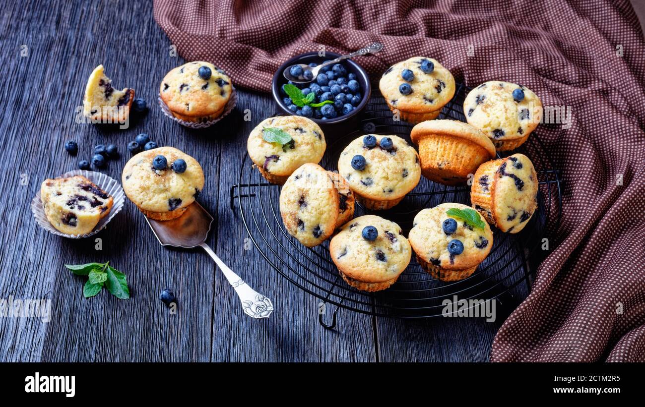 Heidelbeer-Muffins gebacken mit frischen Heidelbeeren auf einem schwarzen Kühlregal mit frischer Minze auf einem dunklen rustikalen Holzhintergrund, Draufsicht, Nahaufnahme Stockfoto