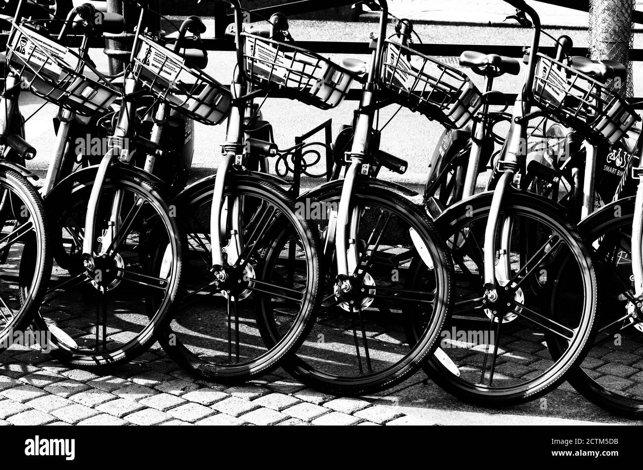 Sankt Petersburg, Russland - 20. September 2020: Schwarz-weiß Kontrast-Konzept mit Fahrrädern mit Körben zu vermieten Stockfoto