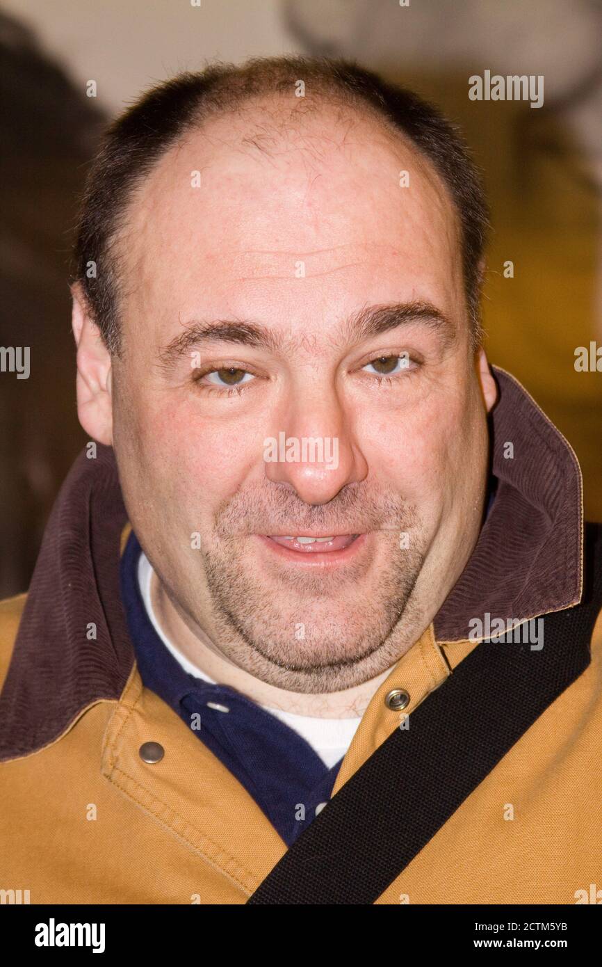 James Gandolfini, bekannt als Tony Sopran, nach dem Stück 'God of Carnage' am Broadway in NYC. Herr Gandolfini verstarb kurz darauf am 19. Juni 2013 Stockfoto