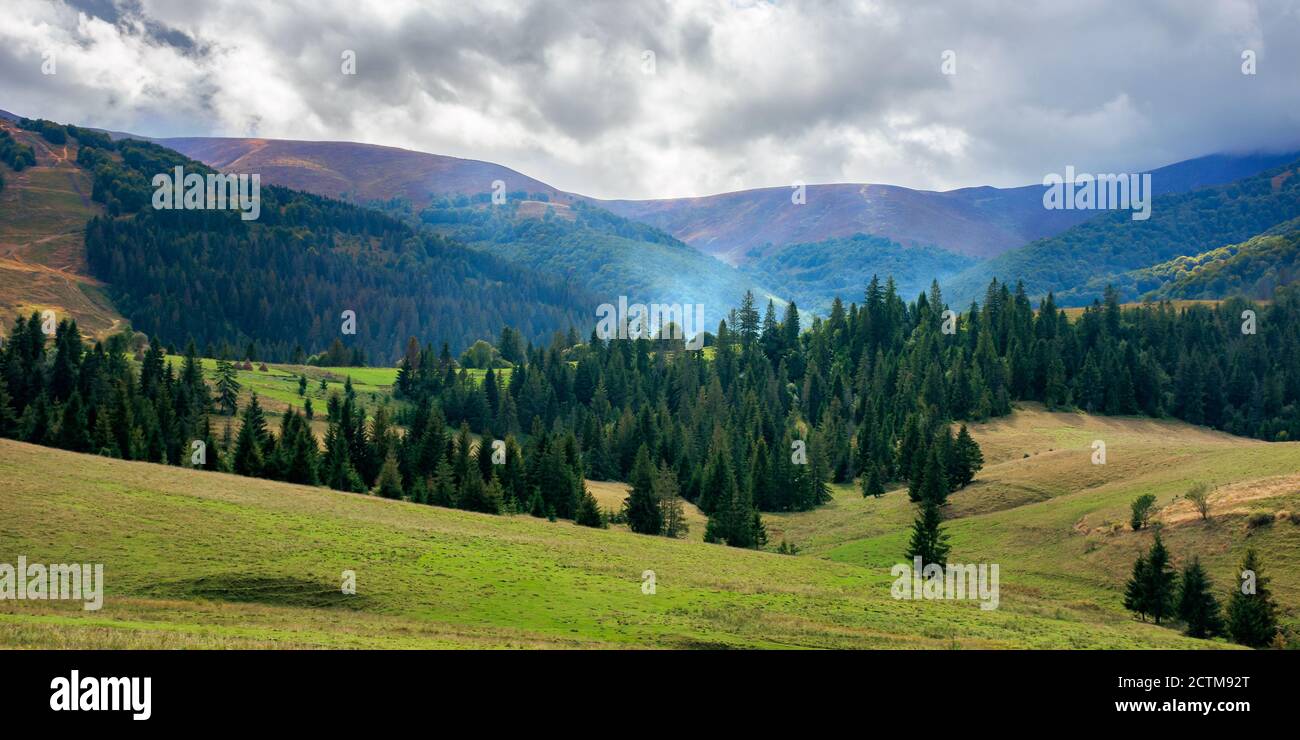 Herbstliche Landschaft. Schöne Berglandschaft an einem bewölkten Tag. Grüne Felder Rollen durch Hügel in den Wald am Fuße der Rid Stockfoto