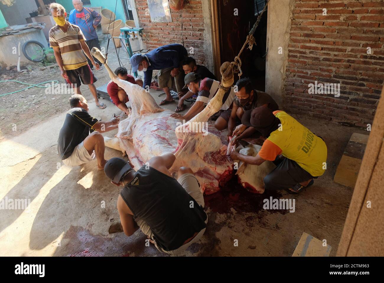 Purbalingga, Indonesien - Juli 31 2020: Schlachtprozess auf qurban eid Al adha, die Schlachter mit Maske während des Prozesses. Stockfoto