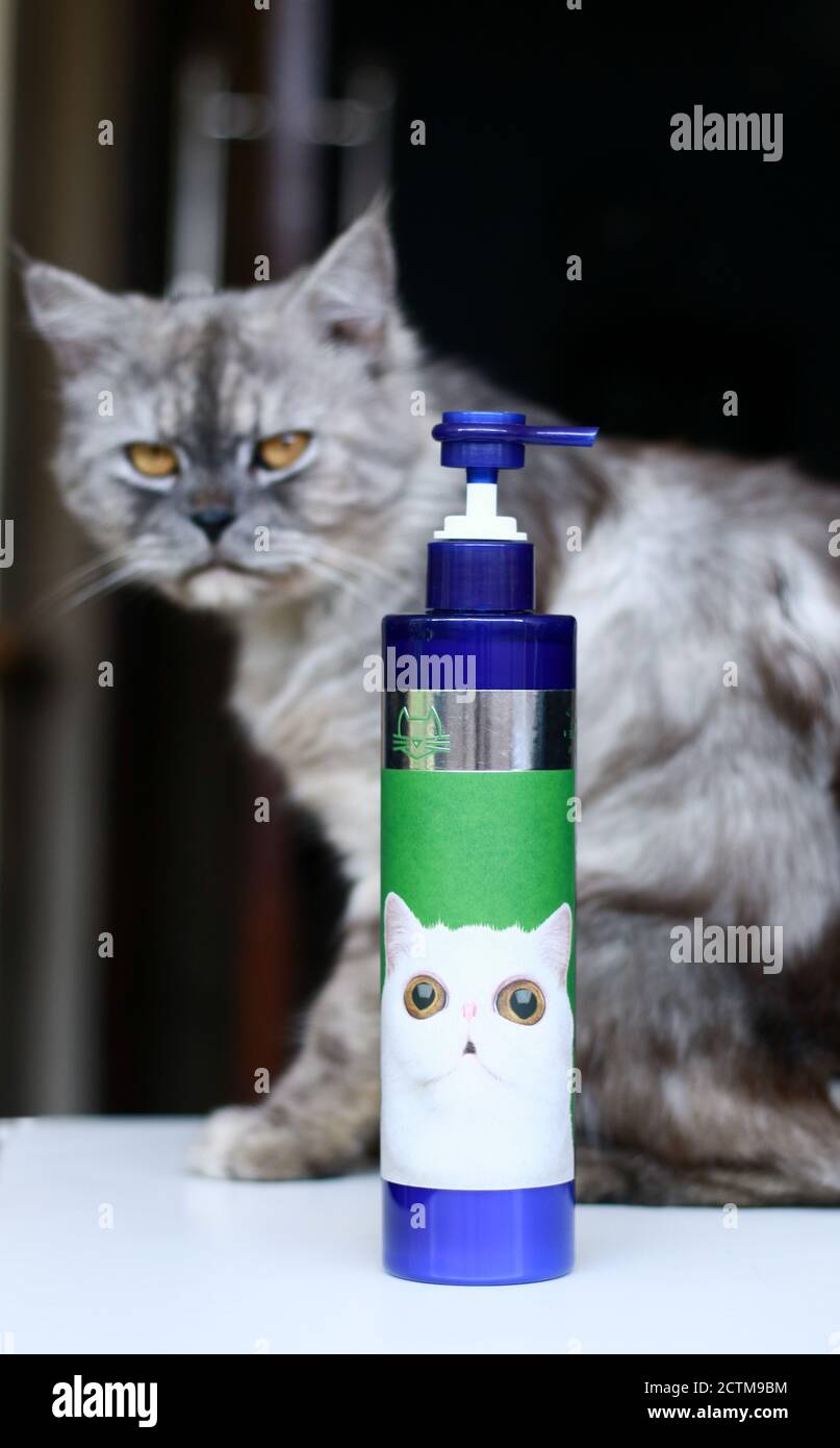 Depok, Indonesien - 19. Oktober 2019: Katzen-Shampoos zum Baden Ihrer Katze. Stockfoto