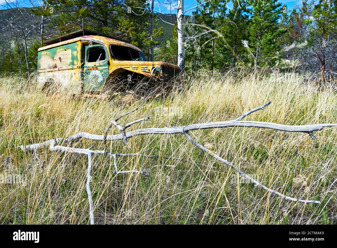 Altes rostiger Wrack eines LKW aus alten Kriegszeiten in einem Wald- und Grasgebiet in der Nähe von Chilco River, British Columbia, Kanada, Nordamerika Stockfoto