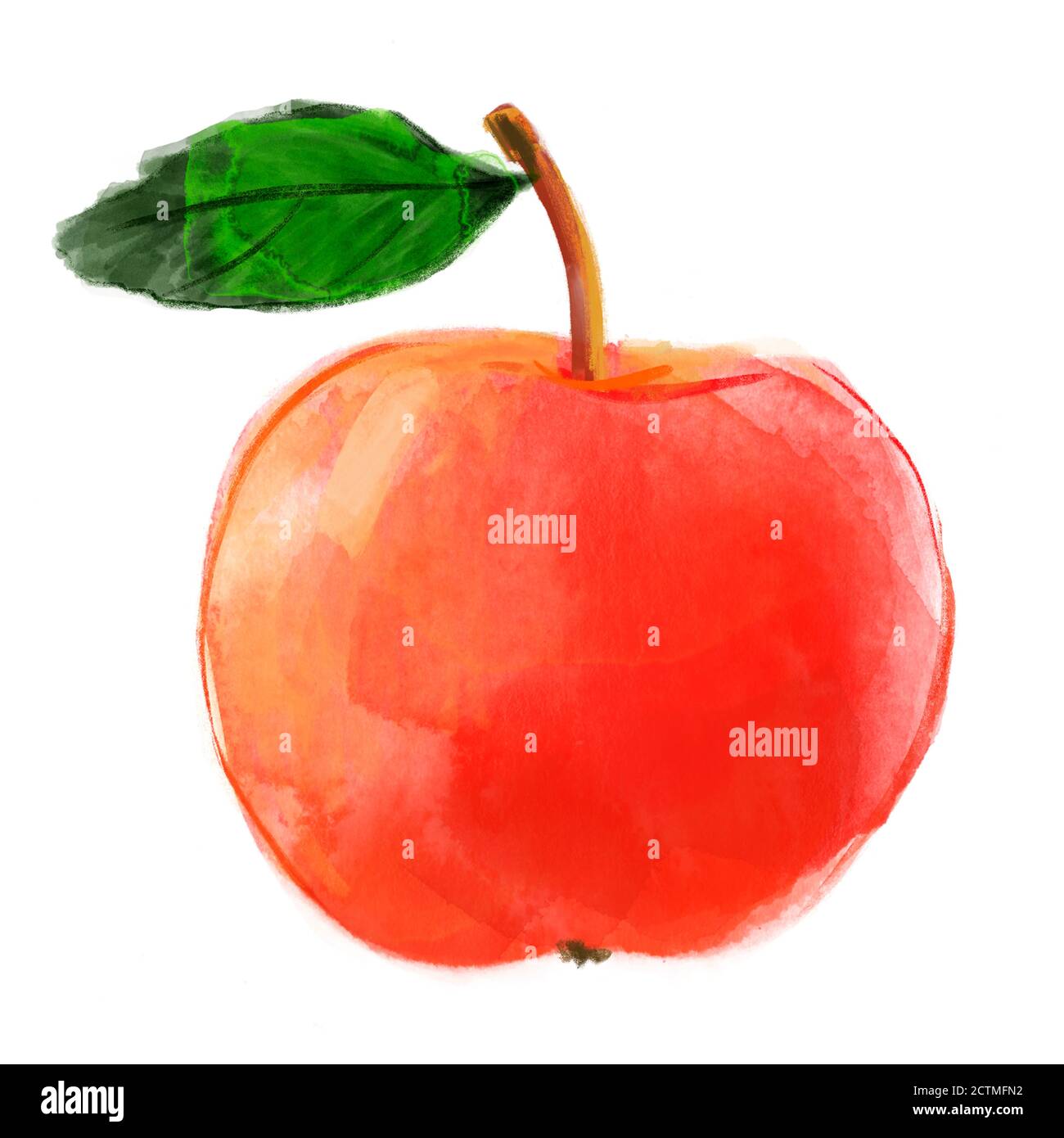 Aquarell Zeichnung roten Apfel isoliert auf weiß Stockfoto
