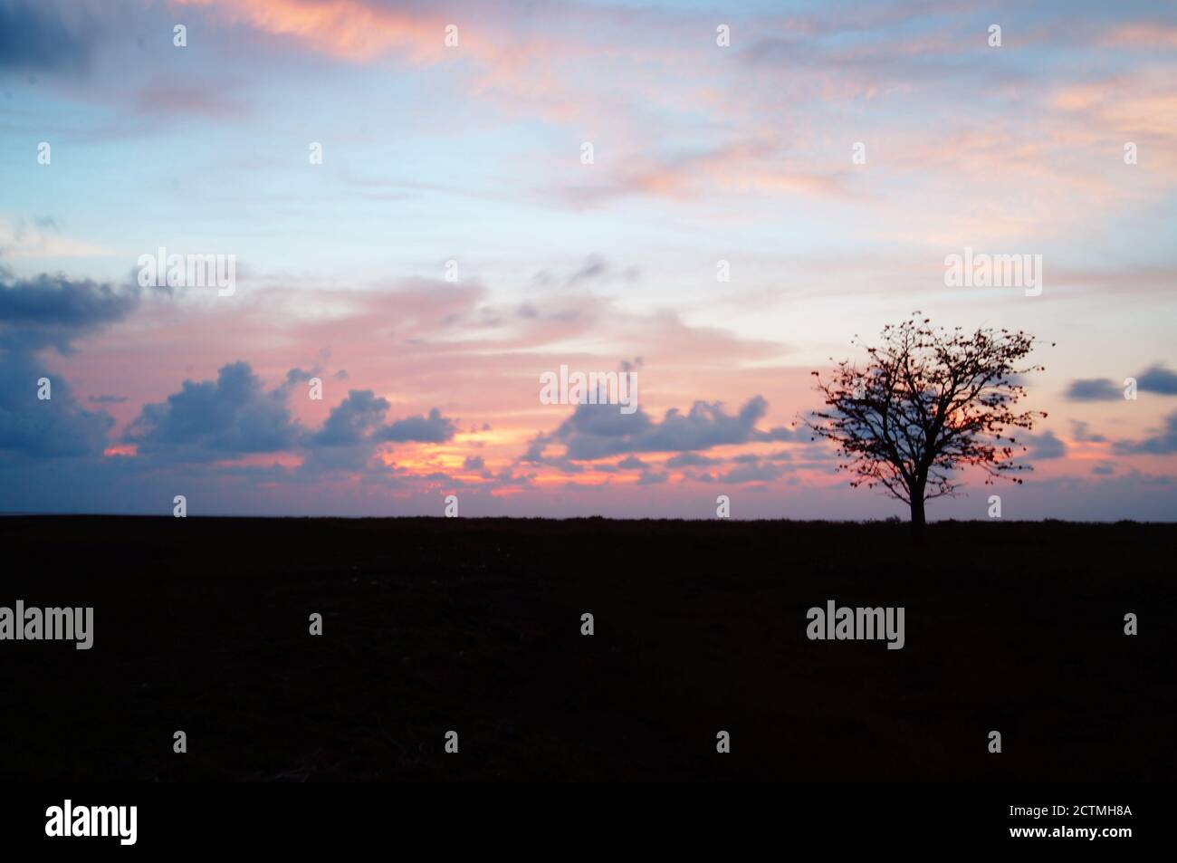Die Schönheit von Sonnenuntergang oder Sonnenaufgang mit Baumsilhouetten Stockfoto
