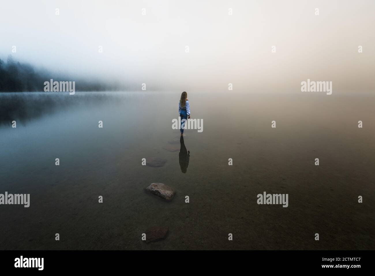 Junge blonde Mädchen im nebligen See bei Sonnenaufgang in der Wildnis Wald stehen. Stockfoto