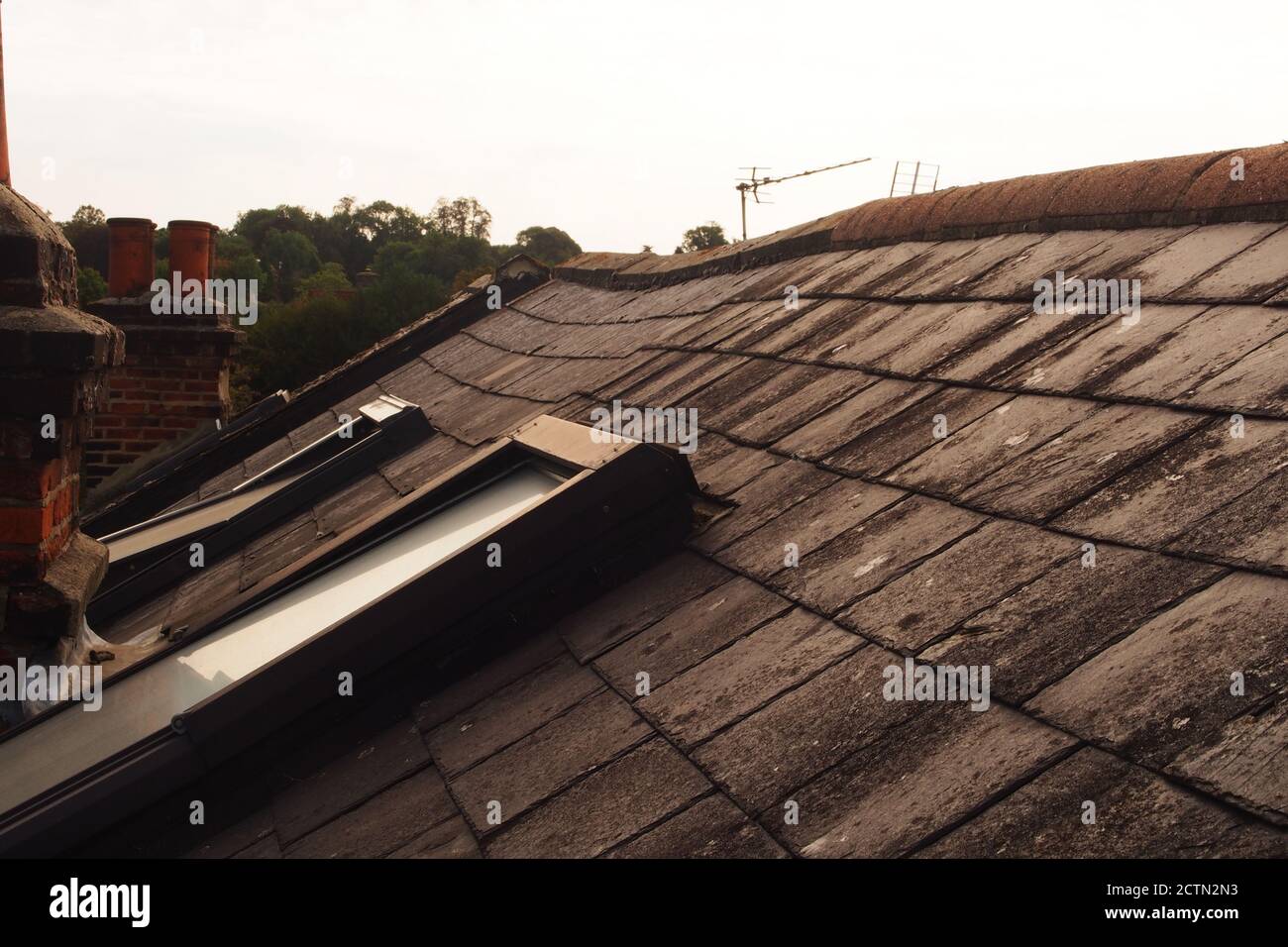 Ein Blick vom Gerüst entlang einem Schieferdach mit Zwei Backsteinschornsteinstapel und zwei Dachfenster mit einem Durchhang im fernen Dach Stockfoto